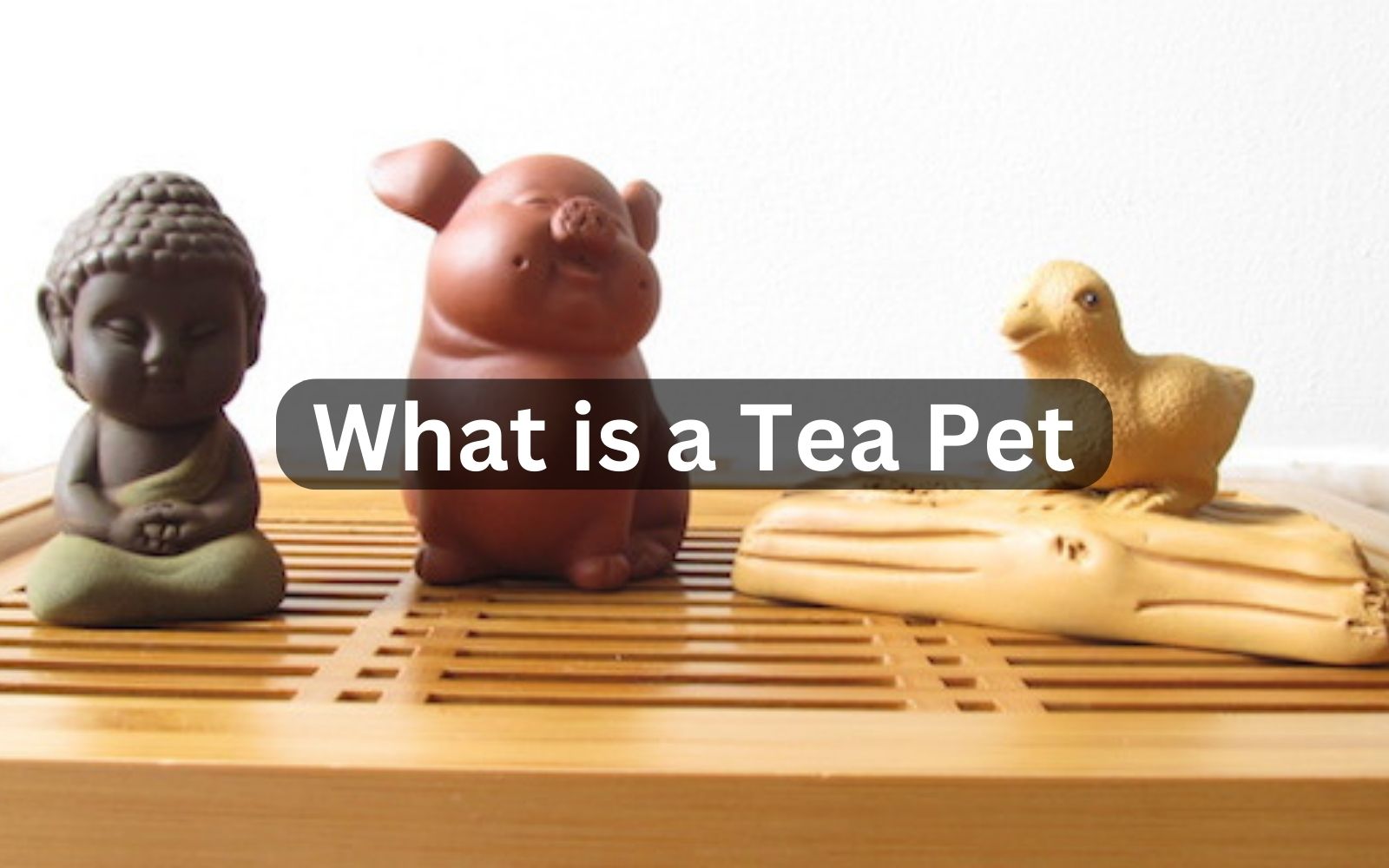 How Much Coffee For 12 Cups Scoops Tbsp Grounds Ounces What Is A Tea Pet 